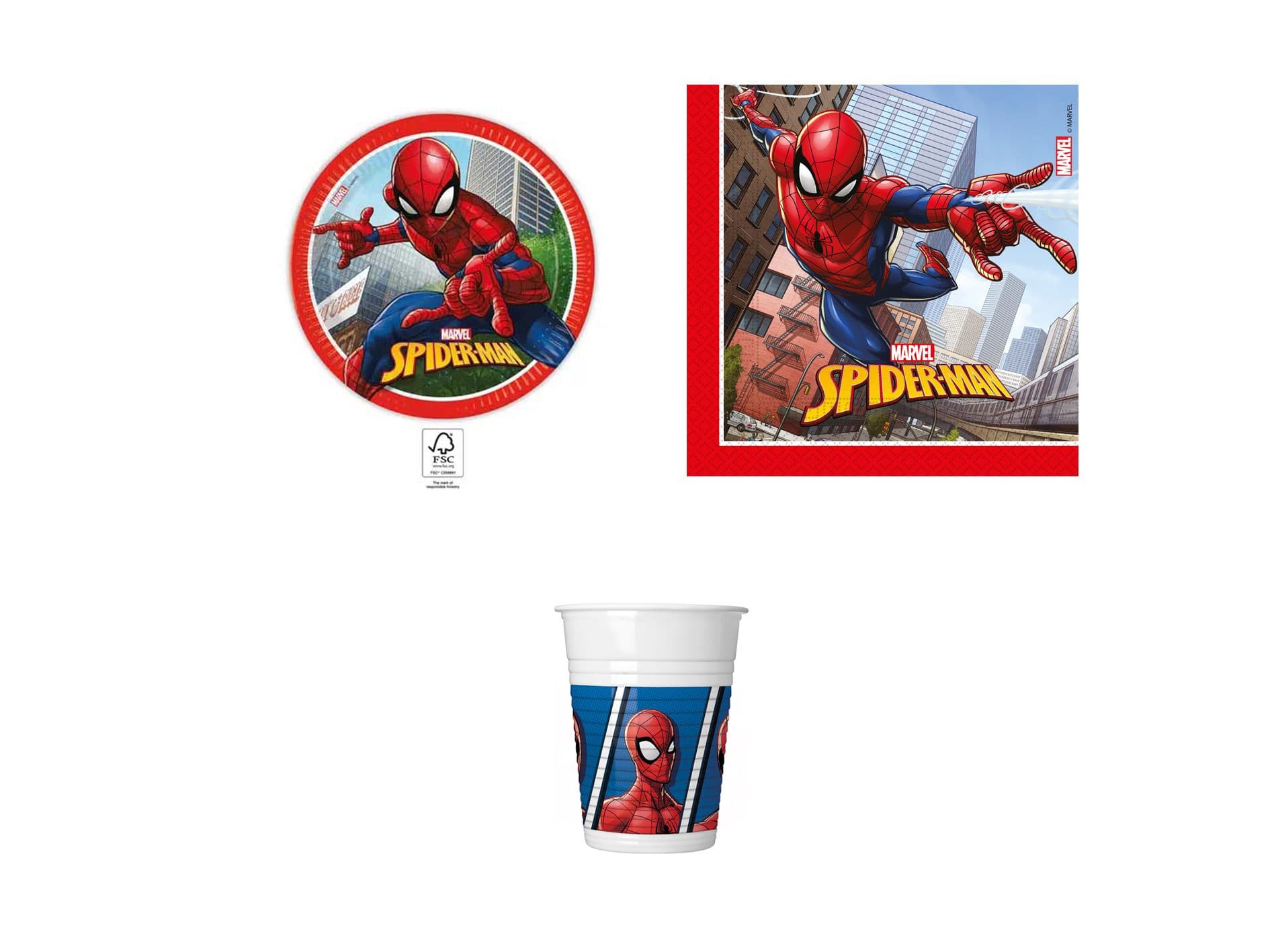 SPIDERMAN PARTY FOR 8