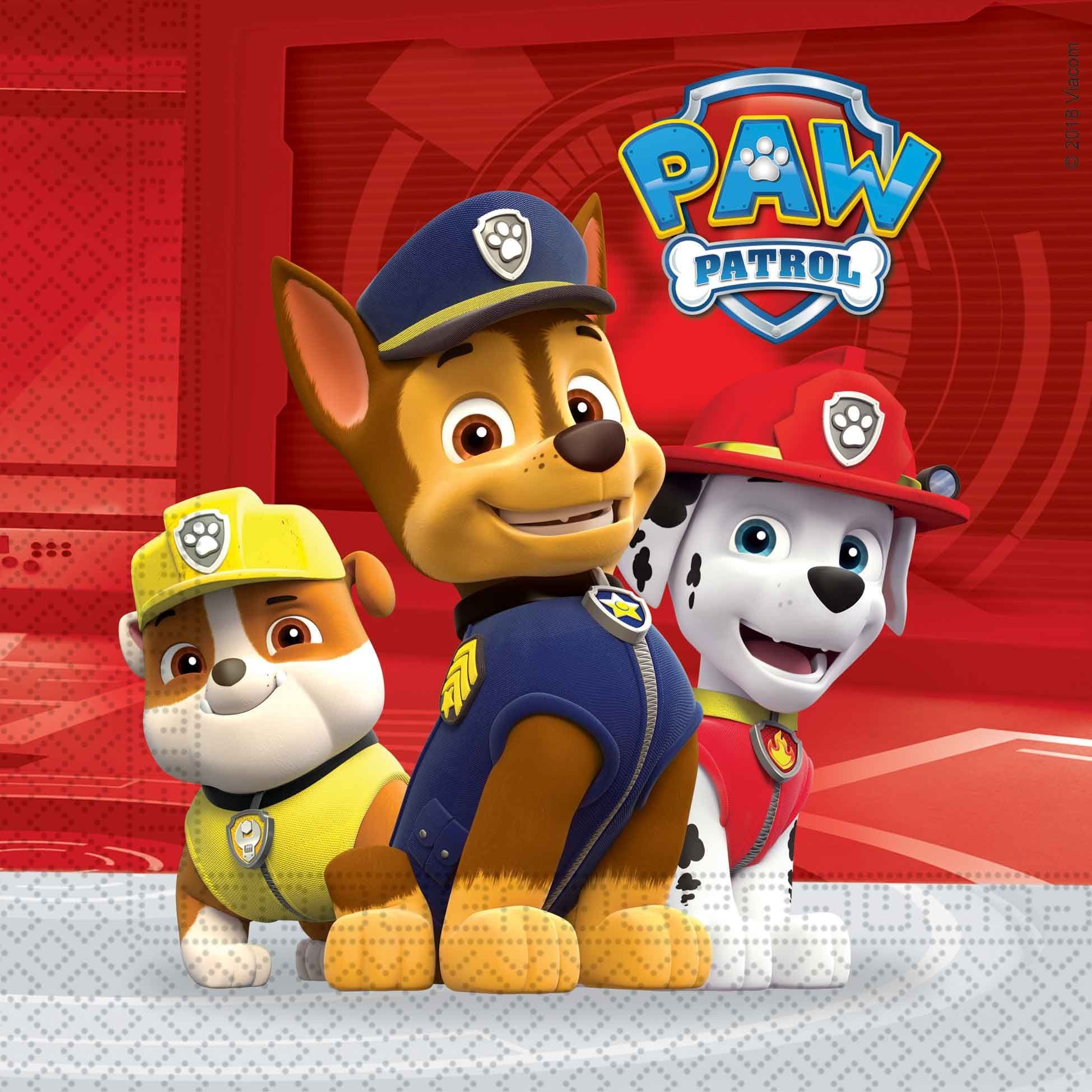 PAW PATROL PARTY FOR 8