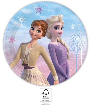 FROZEN II WIND SPIRIT PAPER PLATES 23CM 8CT