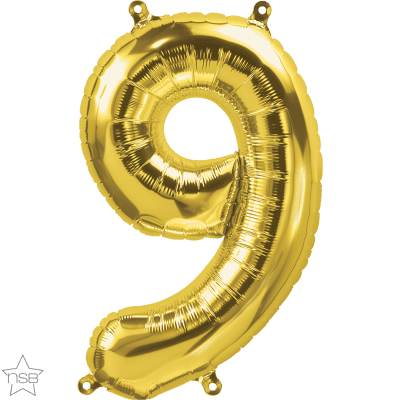 16 IN GOLD NUMBER 9 AIR FILLED 1CTP