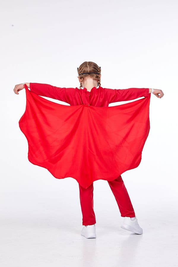 PJ MASK OWLETTE DRESS UP AGE 1CT