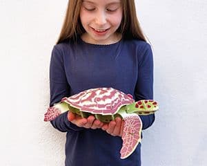 BUILD YOUR OWN MINI BUILD HAWKSBILL TURTLE
