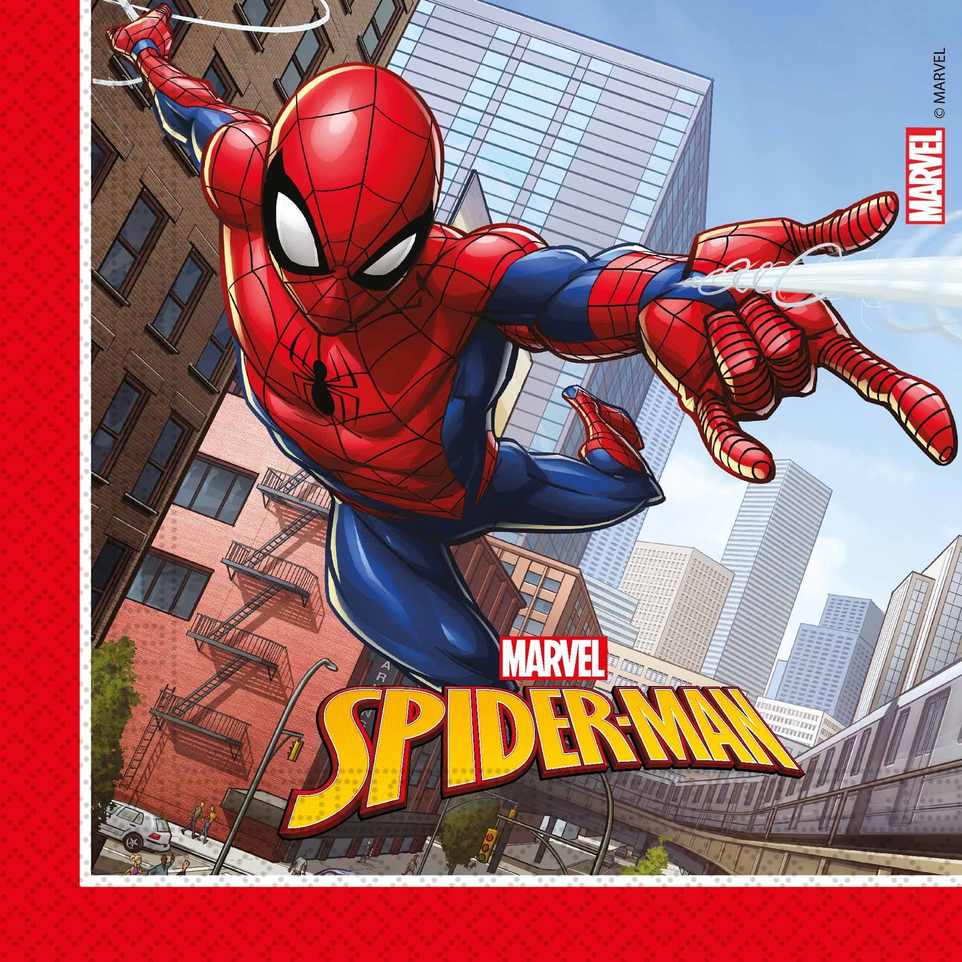 SPIDERMAN PARTY FOR 8