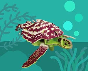 BUILD YOUR OWN MINI BUILD HAWKSBILL TURTLE