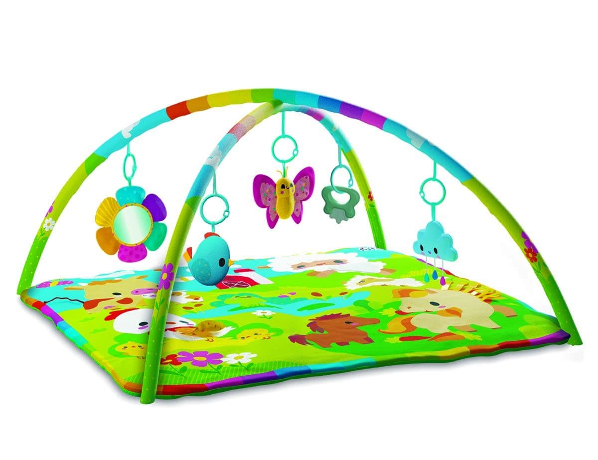 KIDS HITS ACTIVITY GYM HAPPY FARM
