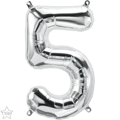 16 IN SILVER NUMBER 5 AIR FILLED 1CTP