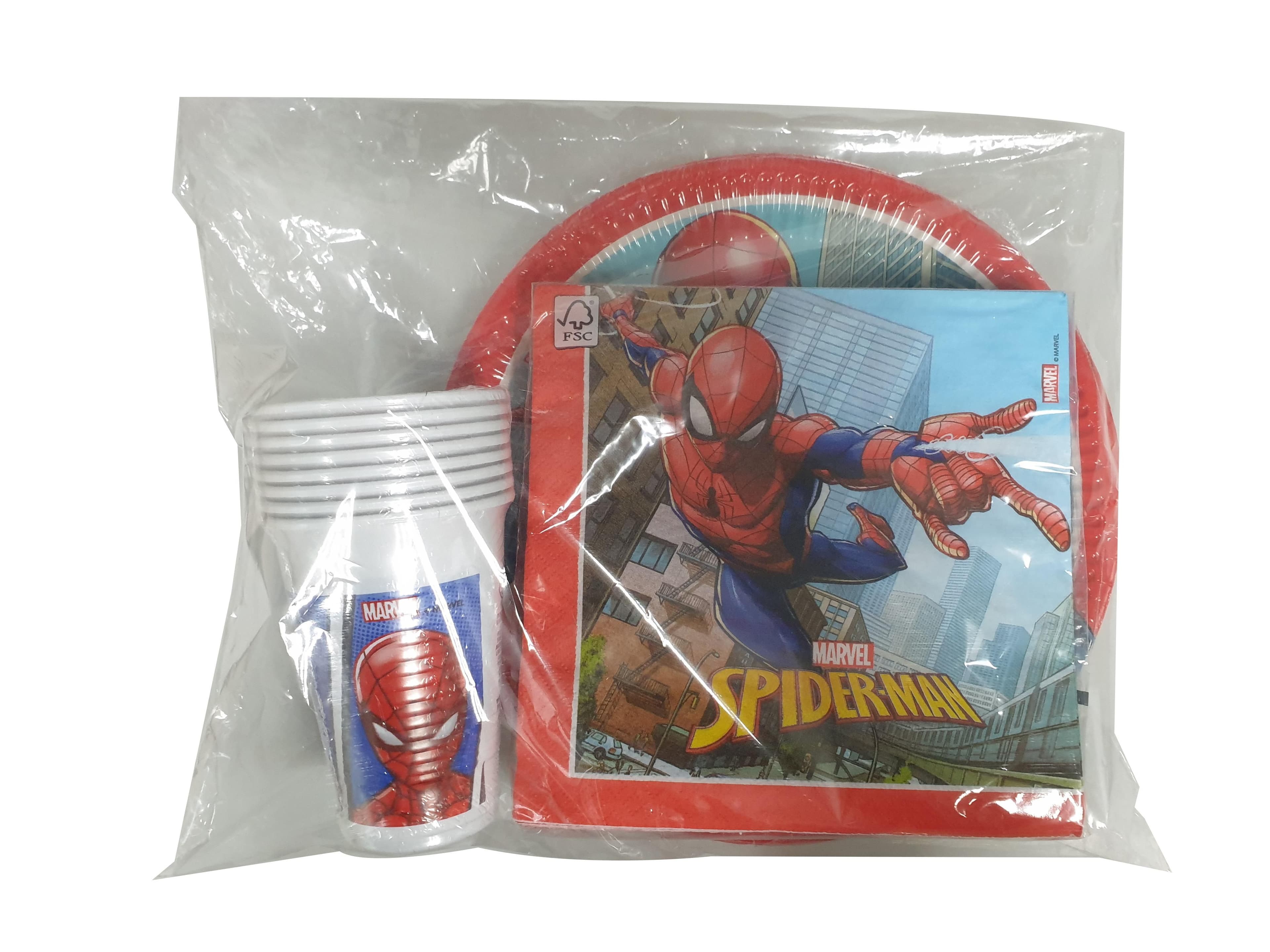 SPIDERMAN PARTY FOR 8