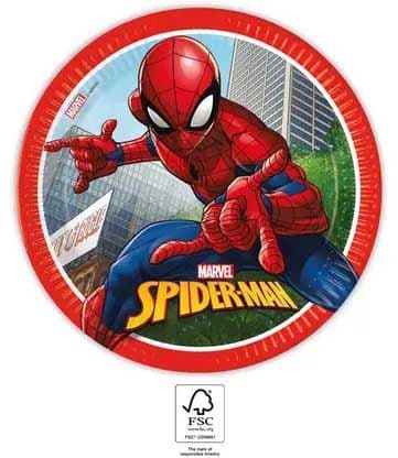 SPIDERMAN PARTY FOR 8