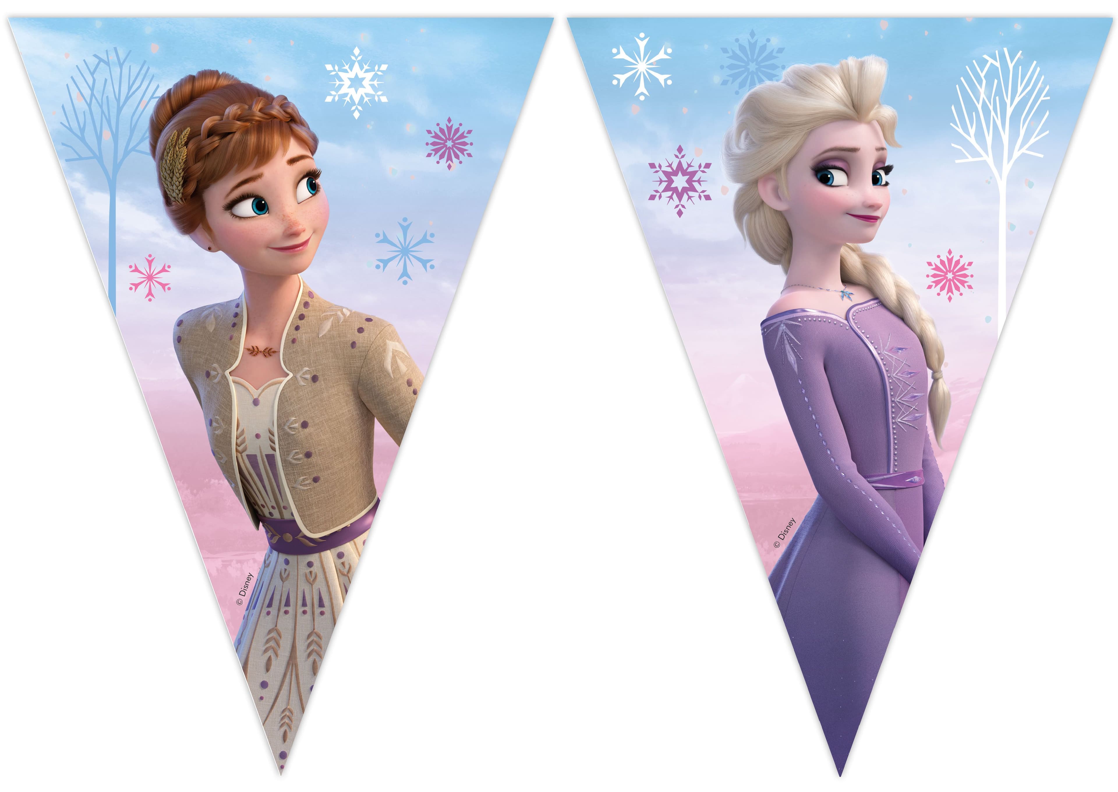 FROZEN II WIND SPIRIT PAPER TRIANGLE FLG BANER 1CT