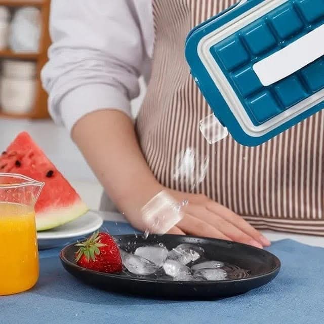 Ice Cube Tray