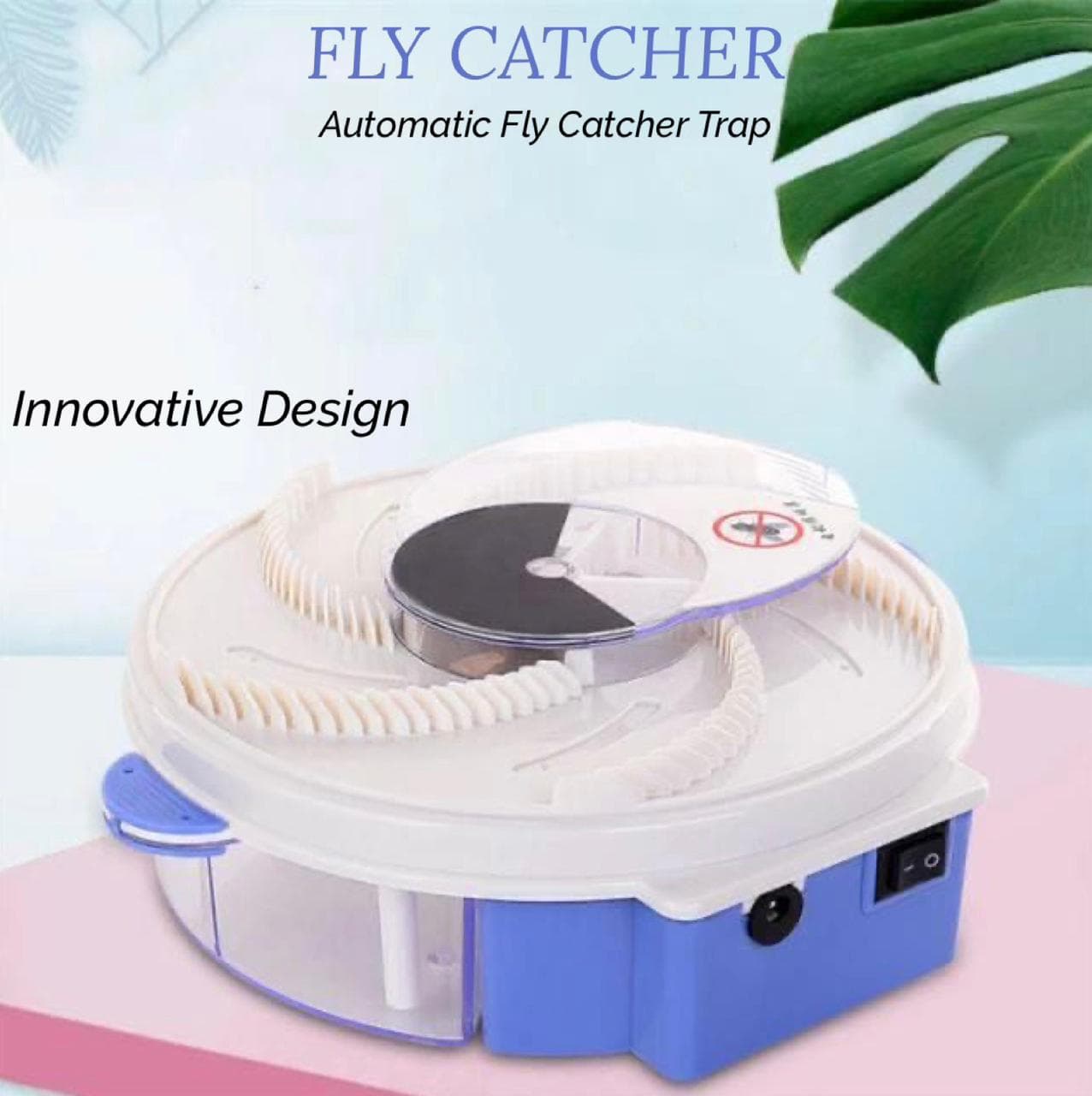 Fly Catcher