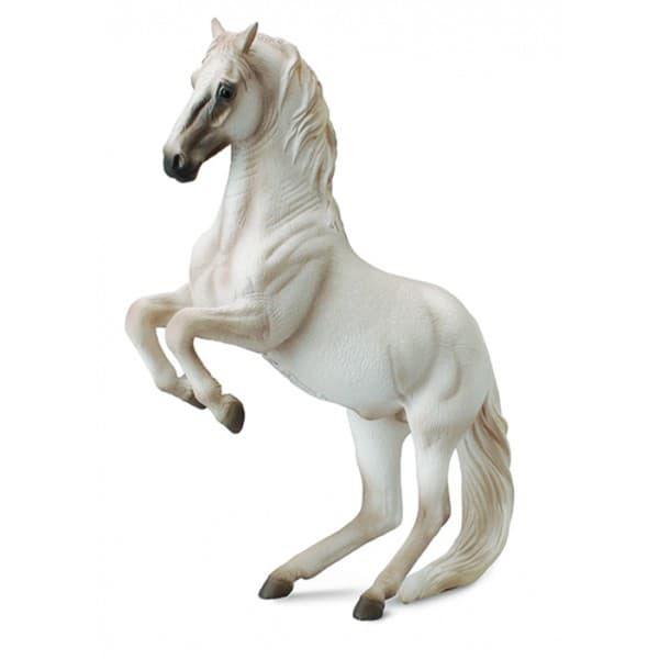 Horses XL Lipizzaner Stallion
