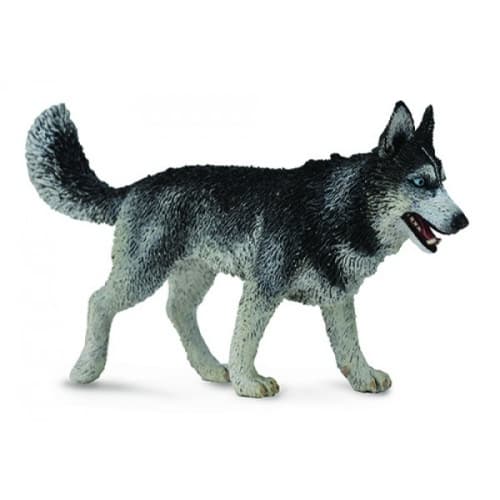 Collecta LRG Siberian Husky