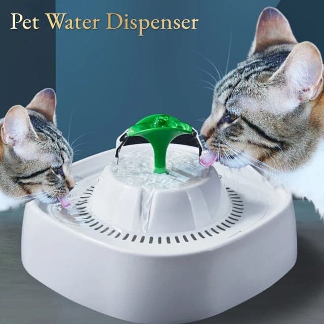 PET WATER FOUNTAIN