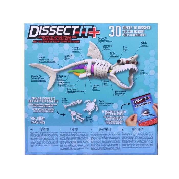 Dissect It Shark Kit