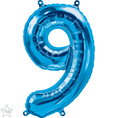 16 IN BLUE NUMBER 9 AIR FILLED 1CTP