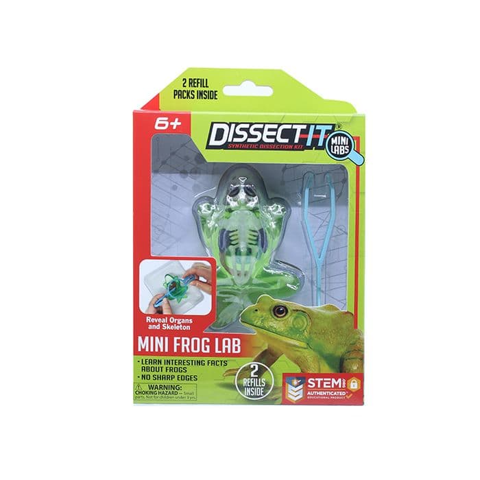 Dissect It Mini Frog With Magnifying Glass