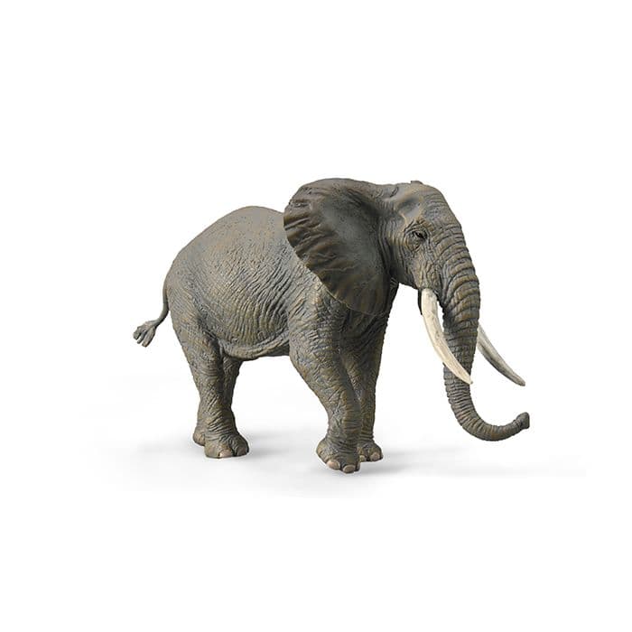 Collecta Wildlife XL African Bush Elephant