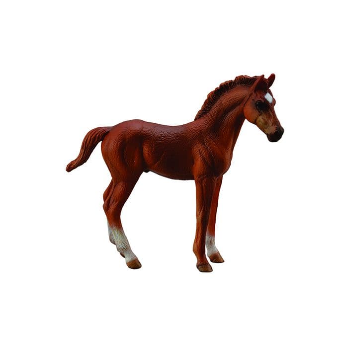 Collecta MED Thoroughbred Chestnut Foal Standing