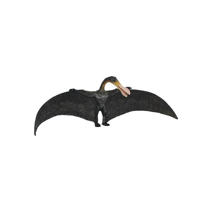 Collecta Prehistoric Large Ornithocheirus