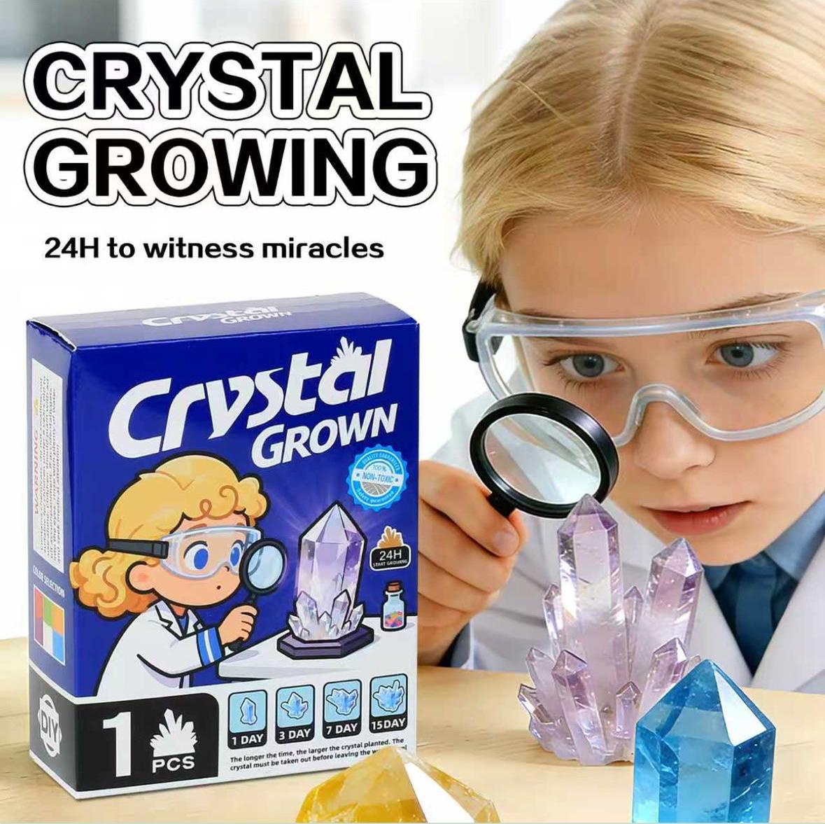 Crystal Growing Kit