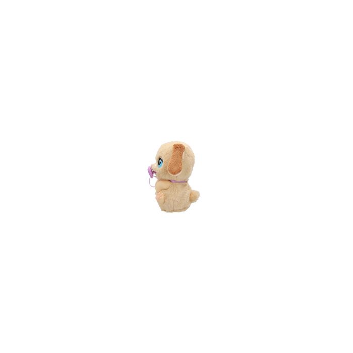 Baby Paws Just Born Puppy