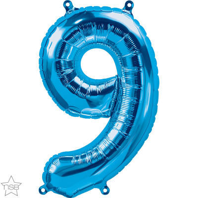 16 IN BLUE NUMBER 9 AIR FILLED 1CTP