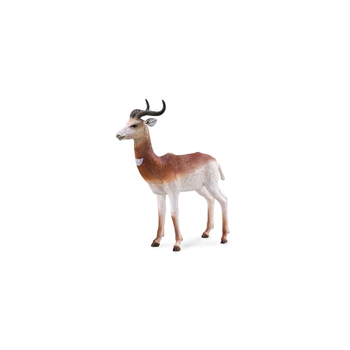 Collecta Wildlife Large Dama Gazelle