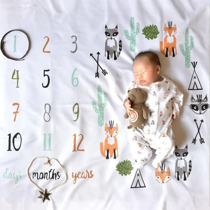 Baby Milestone Blanket