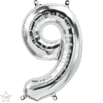 16 IN SILVER NUMBER 9 AIR FILLED 1CTP