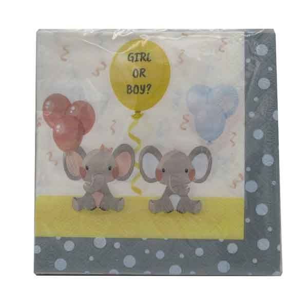 BOY OR GIRL LITTE ELLIES PARTY IN A BAG FR 8