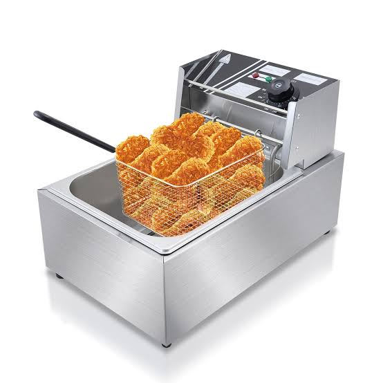 Electric Fryer