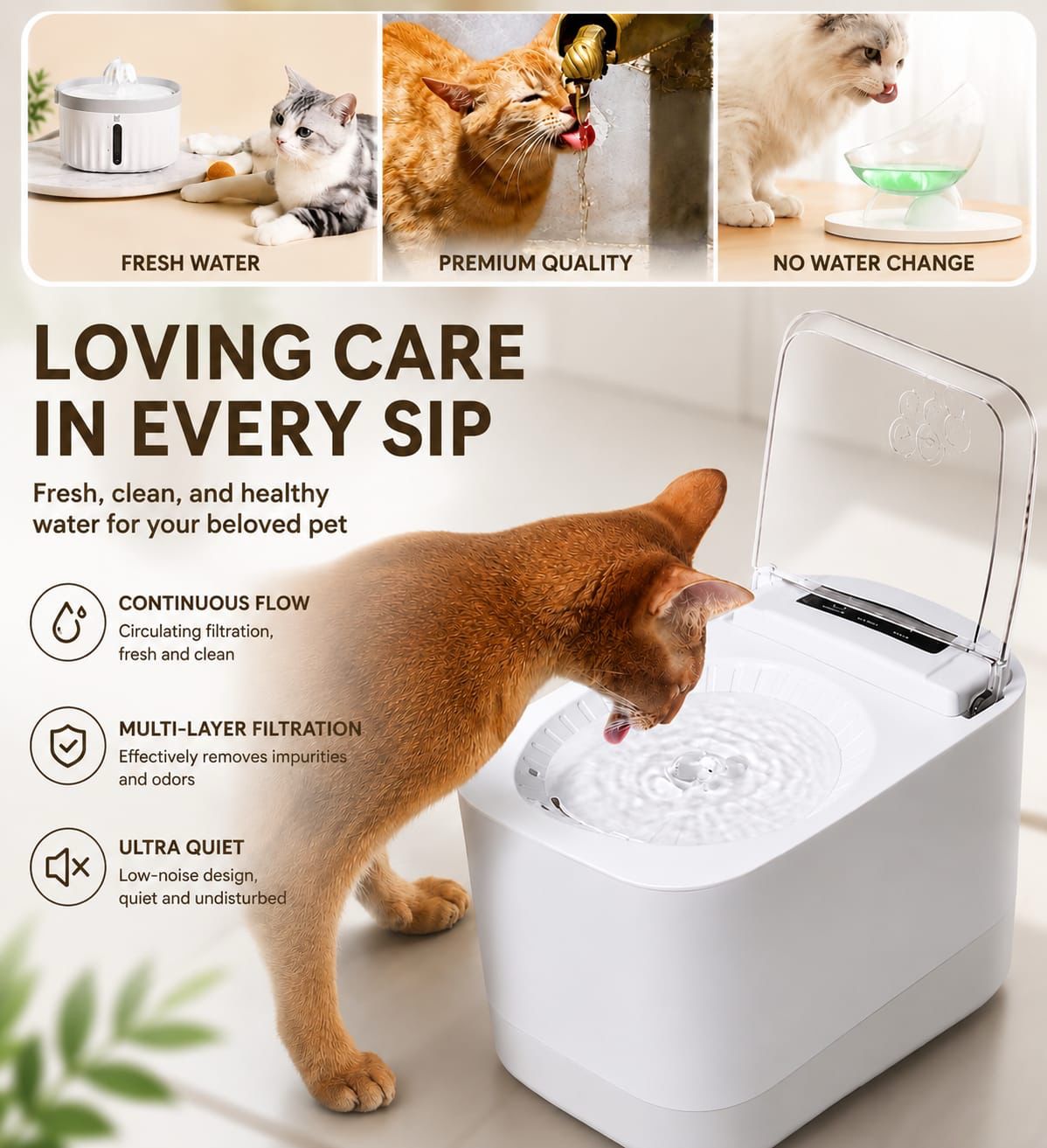Pet Water Bowl