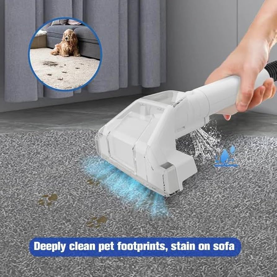 Portable Carpet Cleaner