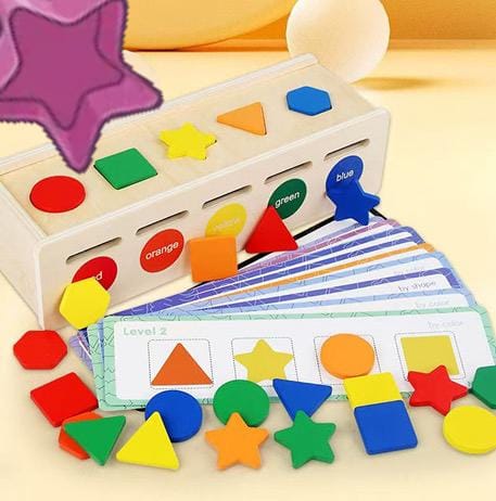 Wooden Montessori Color & Shape Sorting Toy Box with Matching Activity Cards
