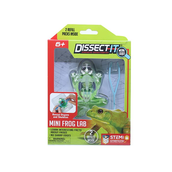 Dissect It Mini Frog With Magnifying Glass