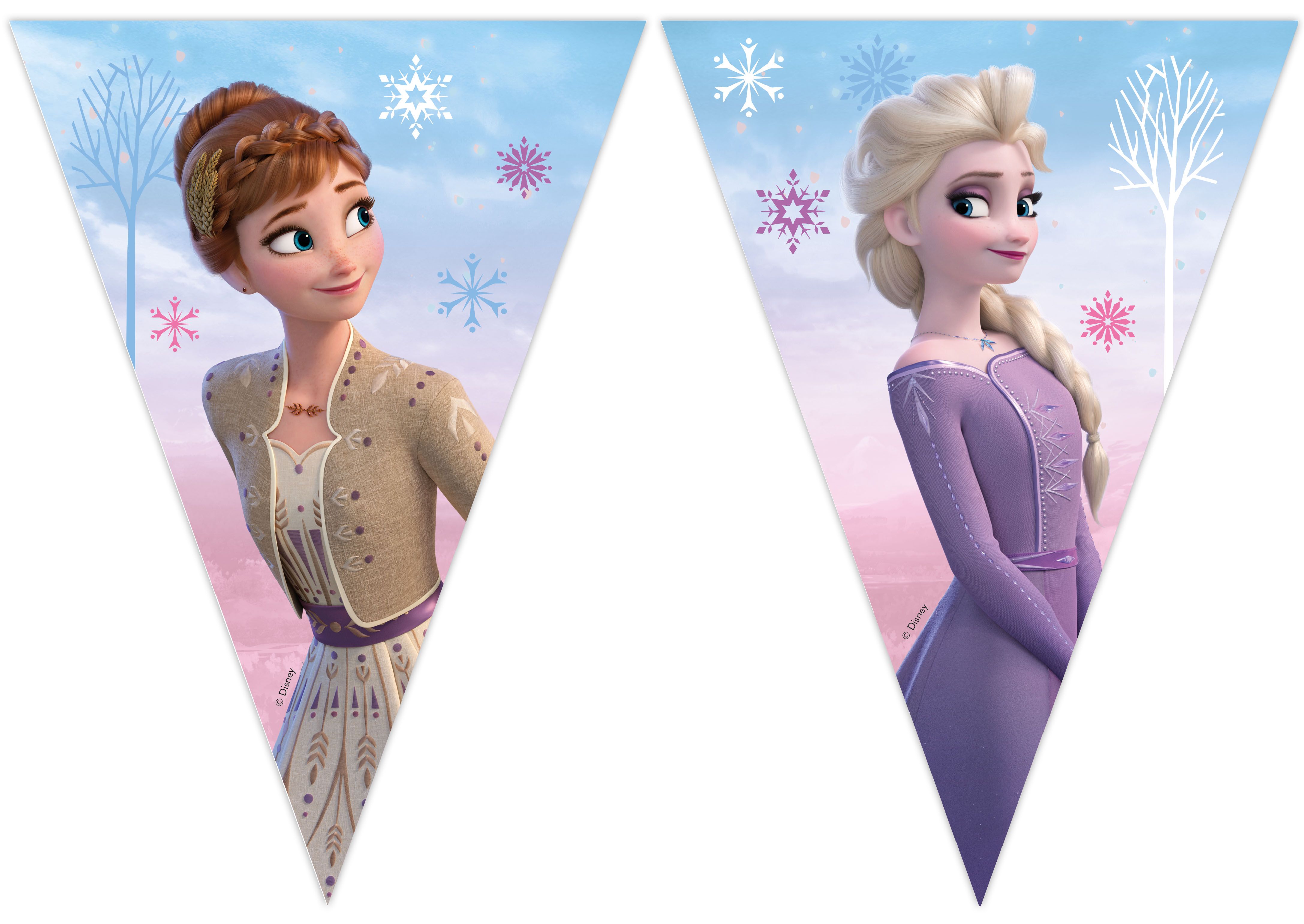 FROZEN II WIND SPIRIT PAPER TRIANGLE FLG BANER 1CT