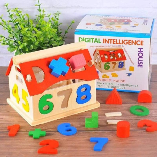 Digital Intelligent House