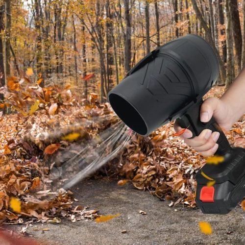 Cordless Handheld Turbo Blower