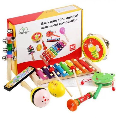 Educational Musical Instrument Set