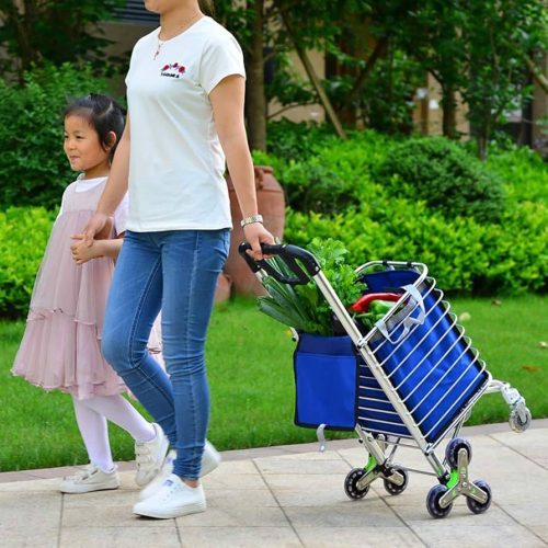 Foldable Shopping Trolley 2 In 1