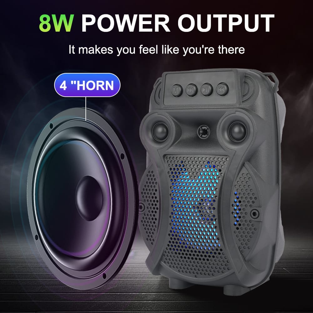 Portable Wireless Speaker With A Wired Microphone