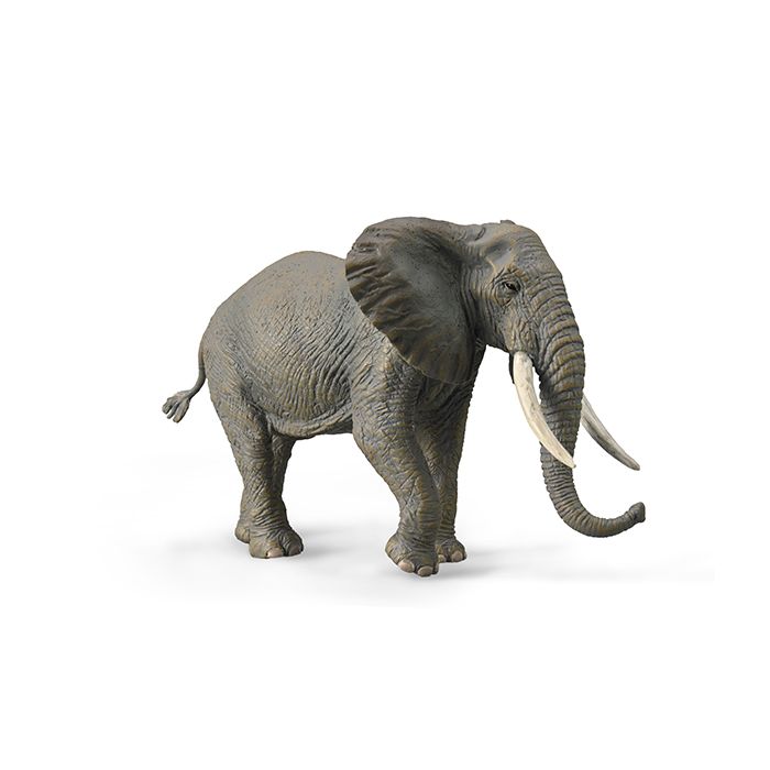 Collecta Wildlife XL African Bush Elephant