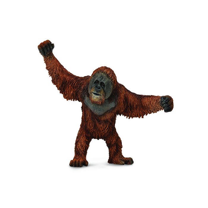 Collecta Wildlife LRG Orangutan