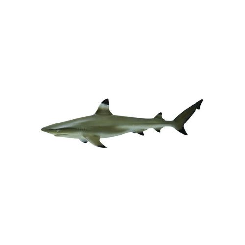 Collecta Sea Life Med Blacktip Reef Shark
