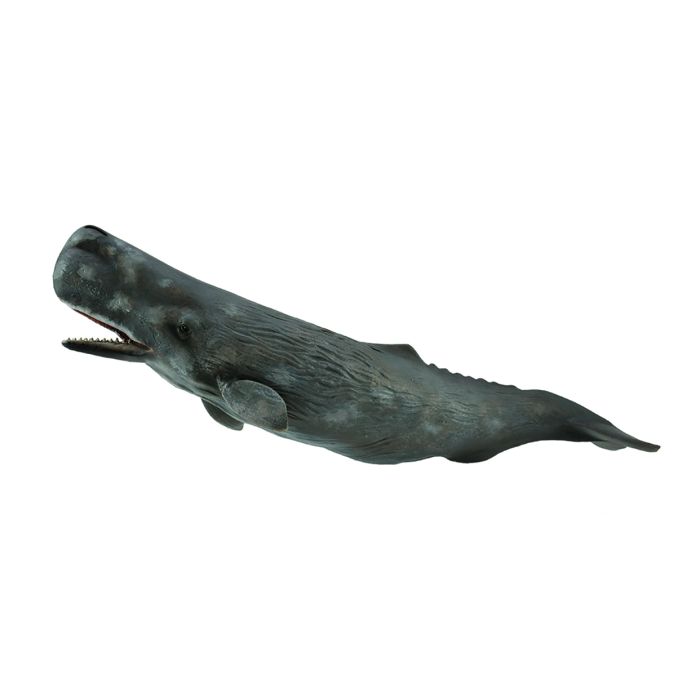 Collecta Sea Life XL Sperm Whale