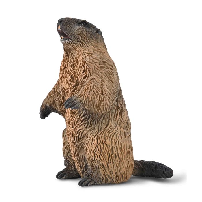 Collecta Wildlife SML Marmot