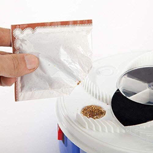 Fly Catcher - Image 2