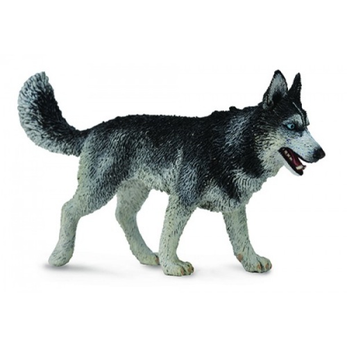 Collecta LRG Siberian Husky