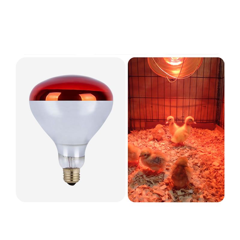 Animal Red Infrared Heat Lamp